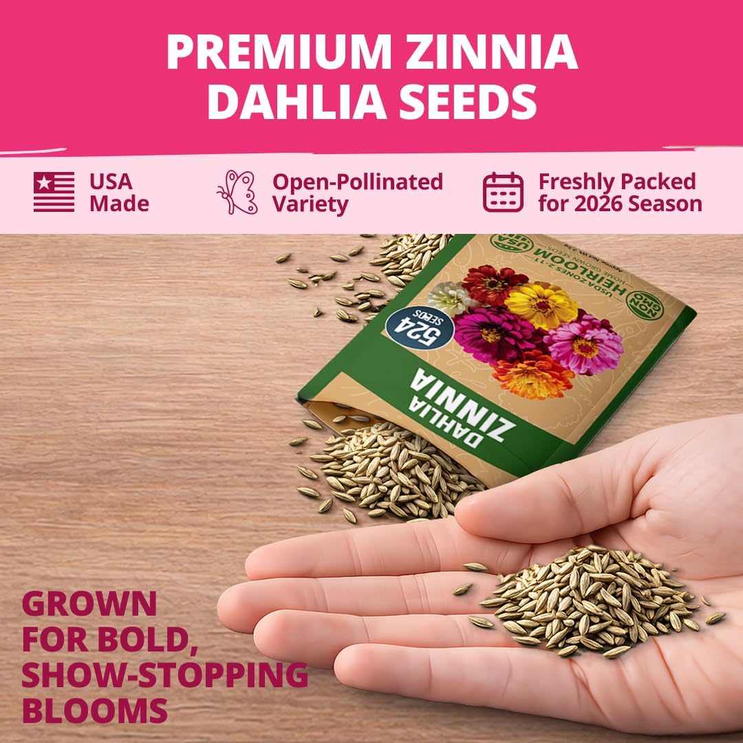 HOME GROWN Zinnia Dahlia Seeds