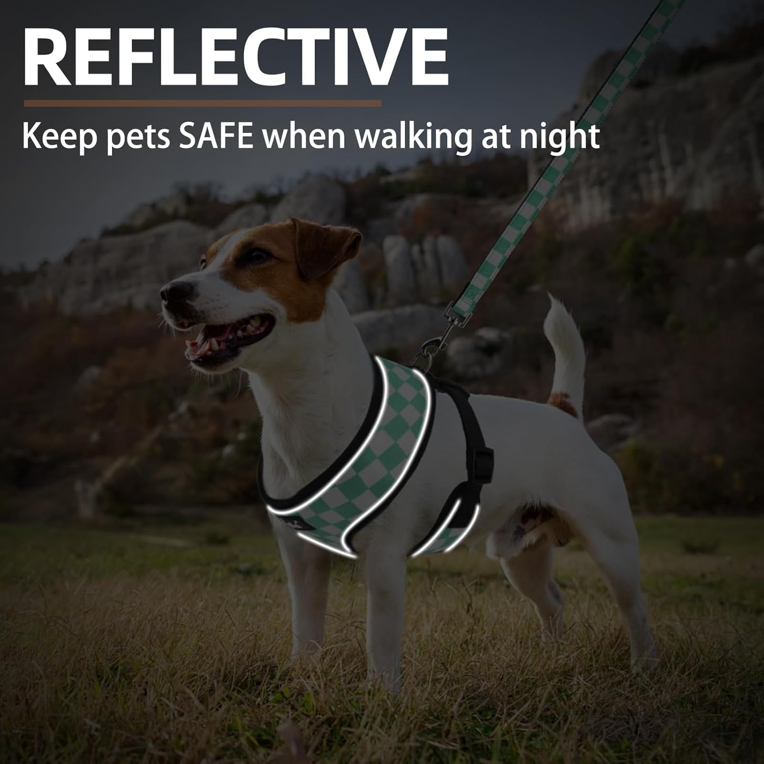 Soft Mesh Dog Harness