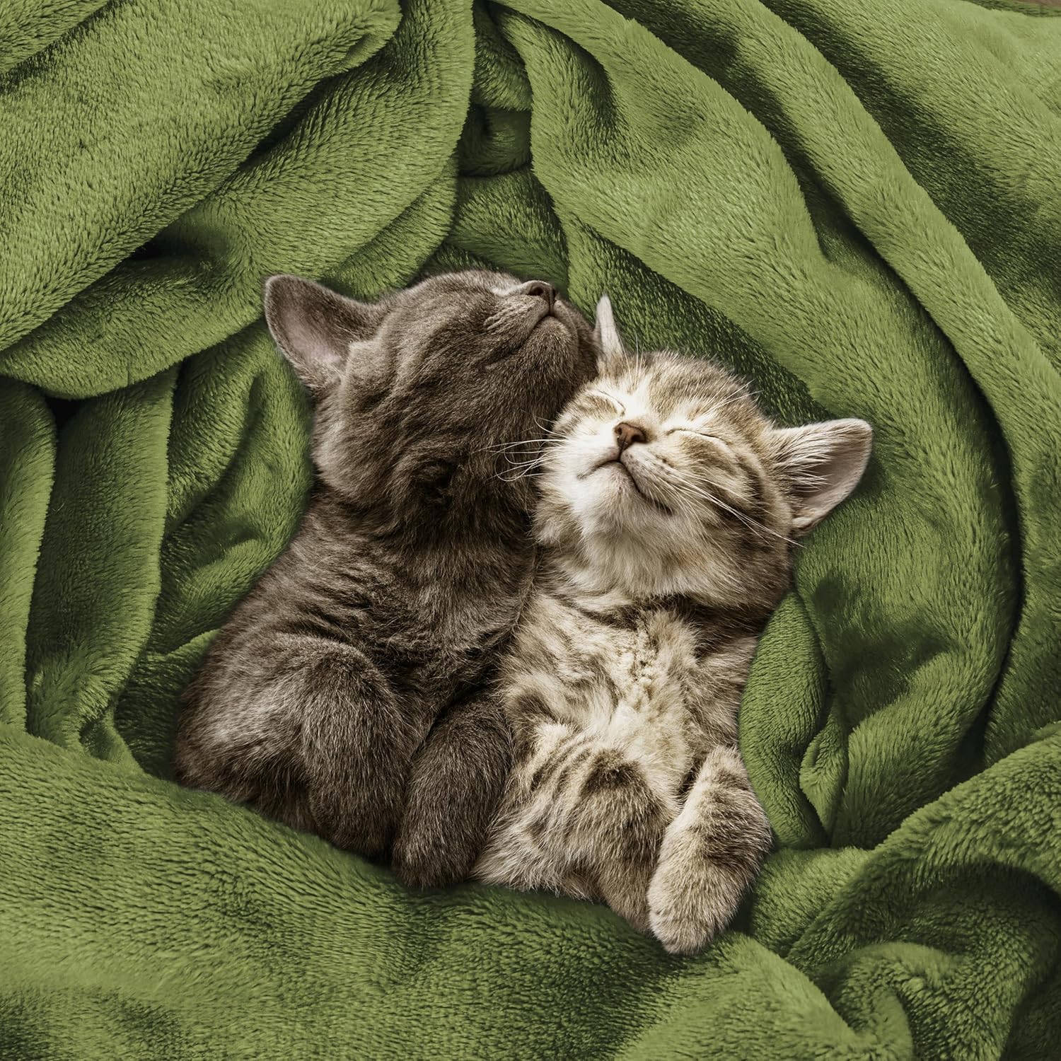 Utopia Bedding Fleece Blanket Twin