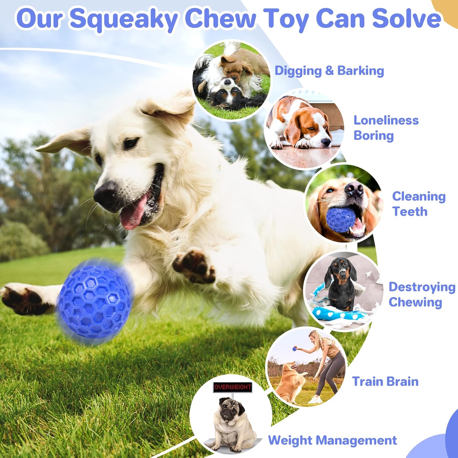 DISSKNIC Indestructible Squeaky Dog Ball