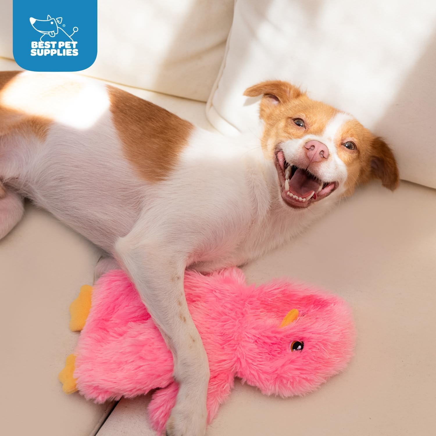 Best Pet Supplies Interactive Squeaky