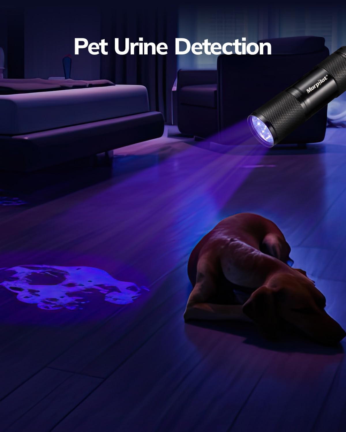 Morpilot Black Light Flashlight Mini