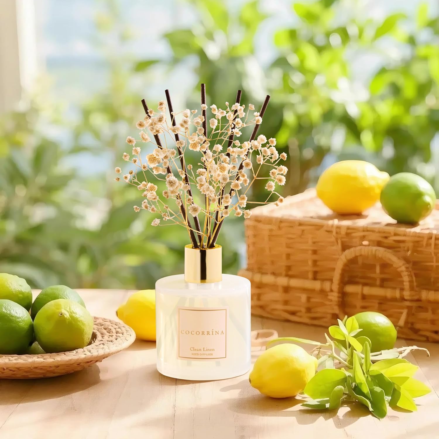 Cocorrína Reed Diffuser Set, Clean