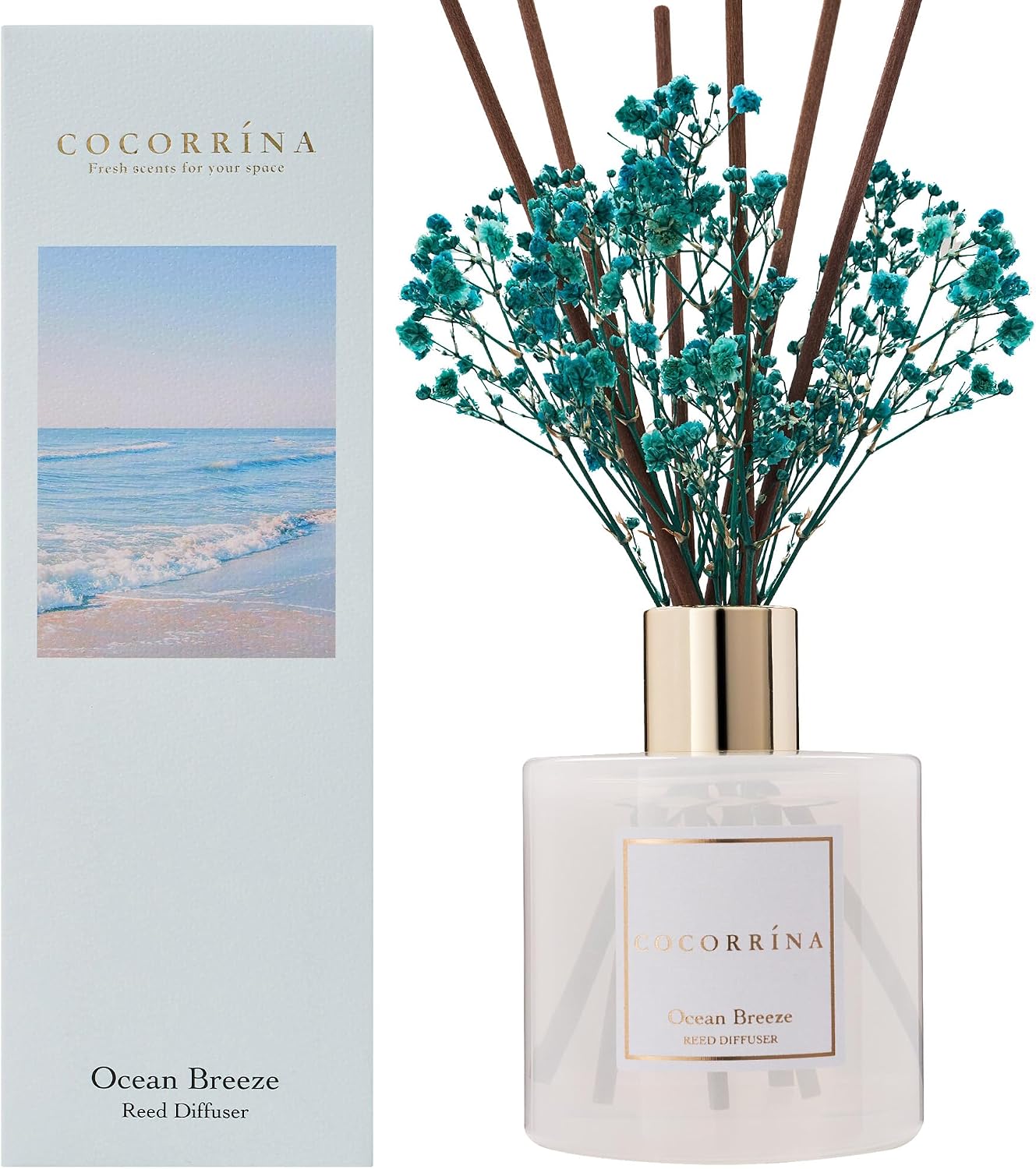 COCORRÍNA Reed Diffuser - Ocean