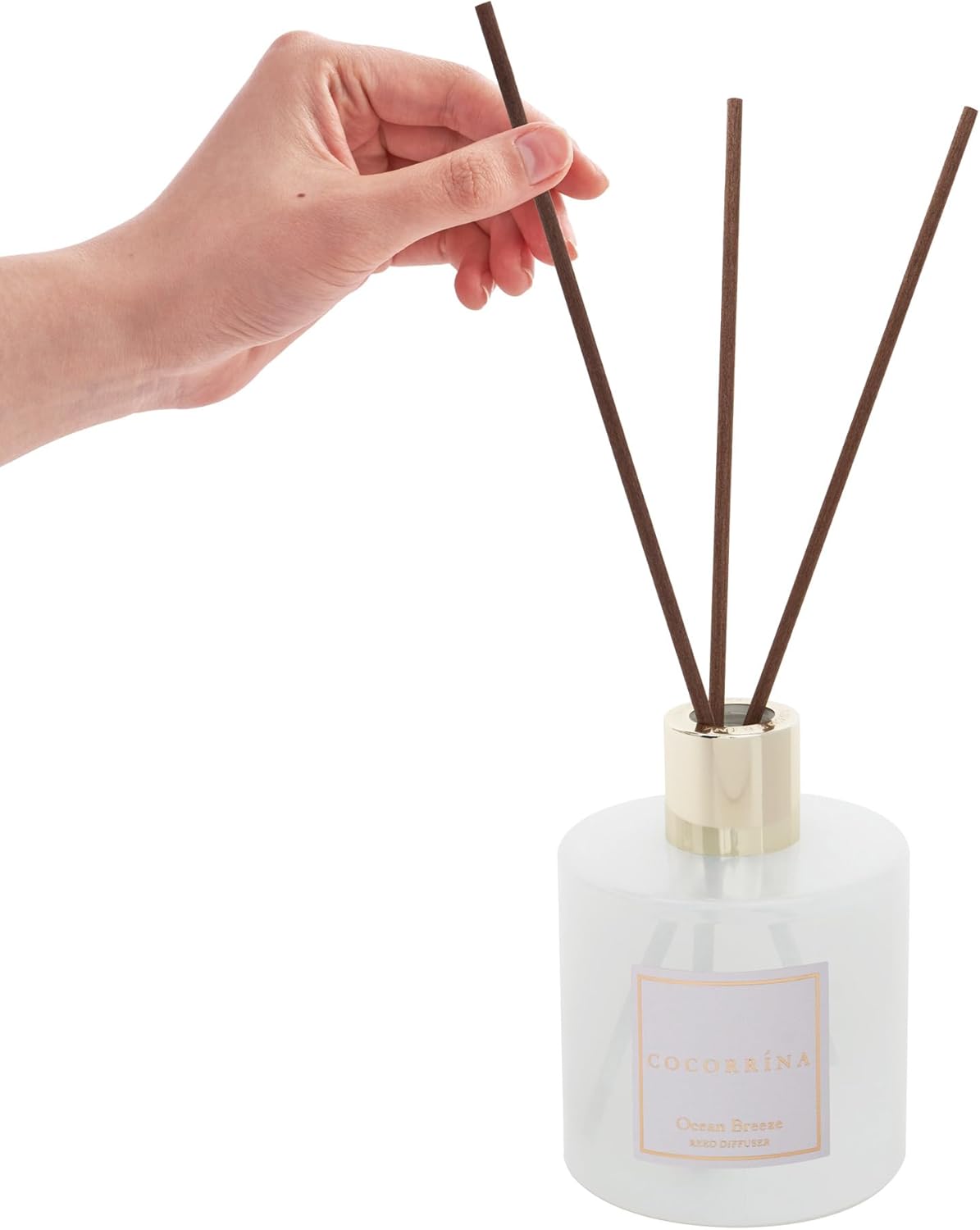 COCORRÍNA Reed Diffuser - Ocean