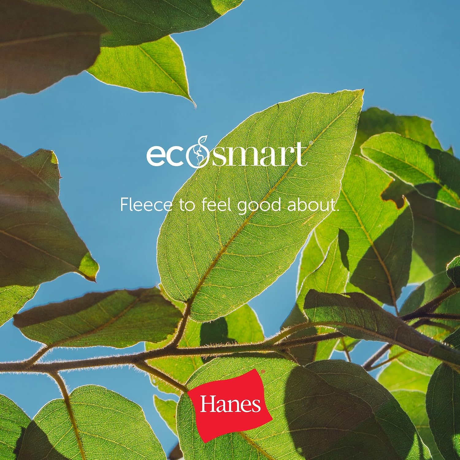 Hanes Men's EcoSmart Sweatpants, Athletic